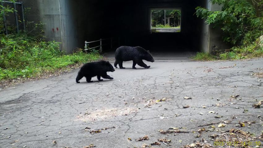 ふるさと納税の寄附の受付を開始しました～県民の安全安心を確保する